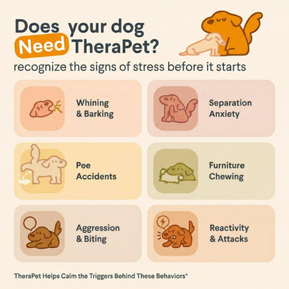 CalmPaws™ Dog Anxiety Relief Diffuser